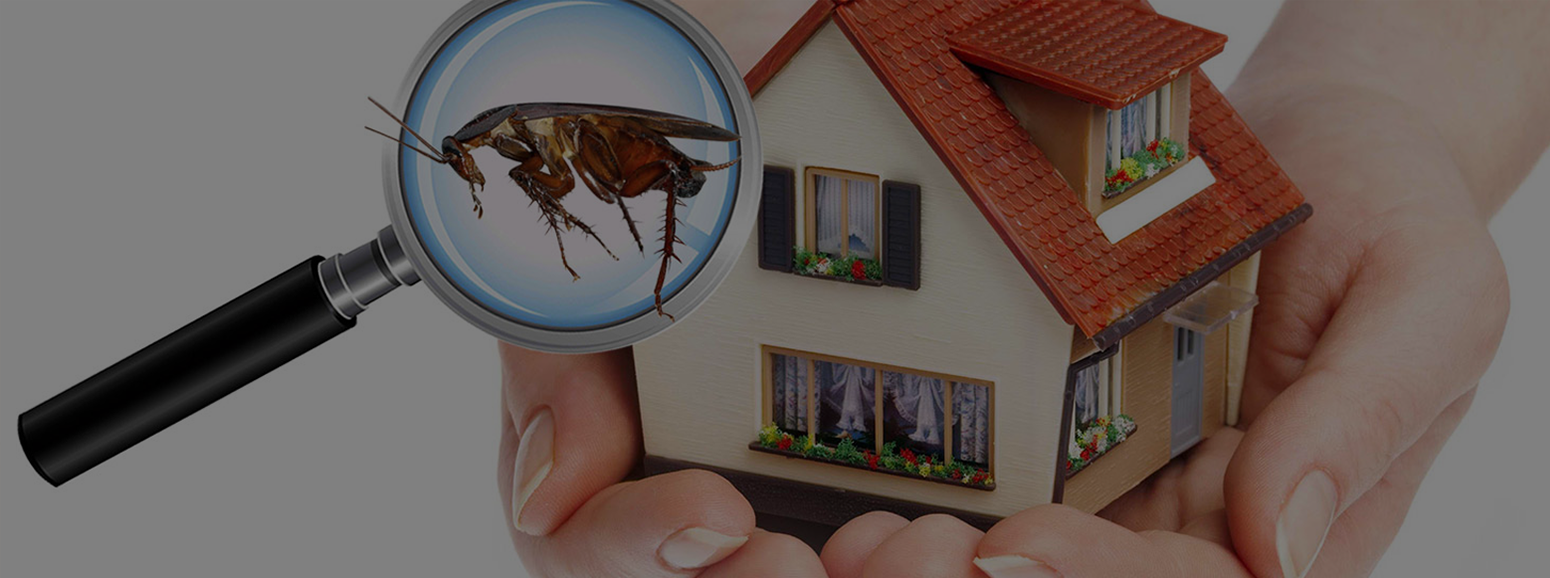 SUPER SAFE PEST CONTROL